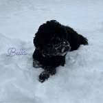 Patty Hester Gibson - @pattyann358 - Instagram