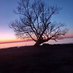 Patty Higgins - @pattyruth1965 - Instagram