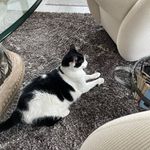 Patty Higgins - @pattyhiggins76 - Instagram