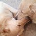 Patty Hinkle - Facebook