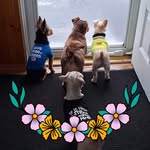Patty Hinkley - @pattyhinkley - Instagram
