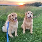 Patty Hodges - @phodgesboys - Instagram
