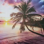 Patty Hodges McClary - @pmcclary4aolcom - Instagram
