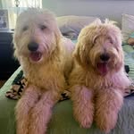 Patty Neal Hodges - @pattynealhodges - Instagram