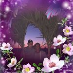 Patty Homan - @pattyhoman14 - Instagram