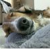 Patty Hoppe - Facebook