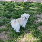 Patty Hopper - Facebook