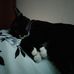 Patty Jeffreys - Facebook