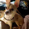 Patty Johns - @patty.johns7 - TikTok