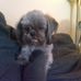 Patty Kennedy - Facebook
