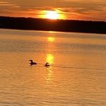 Patty Kenney - @sudbury_mama - Instagram