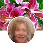 patty kenyon - @patty___kenyon - Instagram