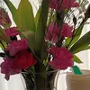 Patty Kitchen s - @patty.kitchen.s - TikTok