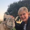 Patty Klaus Laramore - @patty.klaus.laram - TikTok