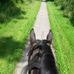 Patty Klein - Facebook