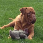 Patty Klein - @maggieslady - Instagram