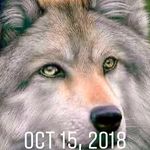 Patty Klein Truax - @widowed2soon - Instagram