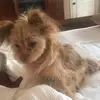 Pat Knapp - @pat.knapp - TikTok