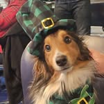 Patti Knapp - @pattinadeau03 - Instagram
