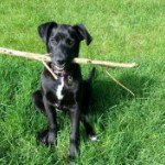 Patty B Knapp - @pattyprints63 - Instagram