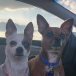 Patty Knapp - @knapp.patty - Instagram