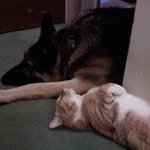 Patty Knapp - @patty.knapp - Instagram