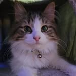 Patty Knapp - @pknapp69 - Instagram