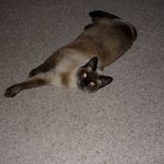 Patty Knapp - @patty.knapp.750 - Instagram