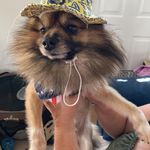 Patty Knott - @pattyknott2266 - Instagram