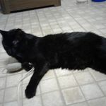 Patty Knott - @pknott1960 - Instagram