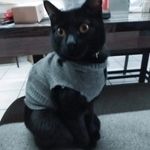 Patty Lamas - @patylamas - Instagram