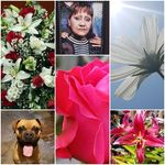 Patty Lamb - @patty.lamb68 - Instagram
