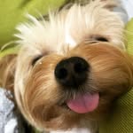 👅二寶🅈🄾🅁🄺🅂🄷🄸🅁🄴 - @patty_lin_ - Instagram