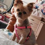 Patty Lilly - @patty.lilly.146 - Instagram