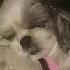 Patty Lilly - @patty.lilly5 - TikTok