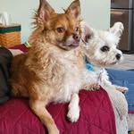 Patty Szerszen Link - @dblred20 - Instagram