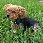 Patty Marcus - @pmgraph21 - Instagram
