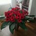 Patty Marcus - Facebook