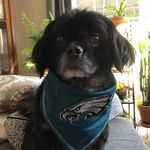 Patty Mayer Harr - @momloveswine2 - Instagram