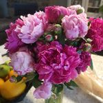 Patty Mayer-Kelly - @pattymayerkelly - Instagram