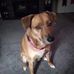 Patty McBride - Facebook