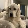 Patty McDaniel - @patty.mcdaniel6 - TikTok