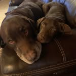 Patti McGregor - @mcgregorpatti - Instagram