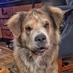 Patti McGregor - @patti.mcgregor.3 - Instagram