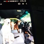 Patty Mcnabb - Facebook
