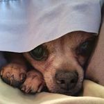 Patti Lynn Mears - @pattimears - Instagram