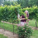 Patty Miner - @patty.miner.7 - Instagram