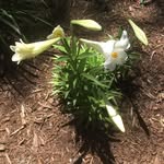 Patty Walker Minton - @patty.minton.90 - Instagram