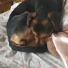 Patty Moon - @patty.moon95 - TikTok