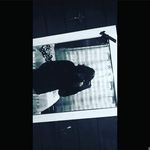 Patty Moon - @patty.moon.7549 - Instagram